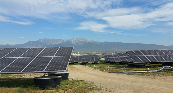 Many solar panels in a field.